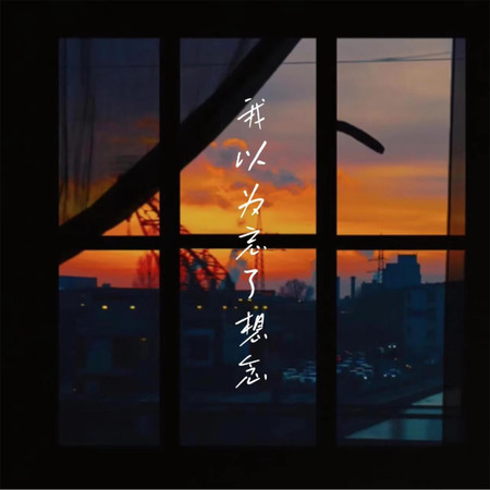 我以爲忘了想念