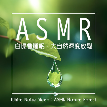 白噪音睡眠 鋼琴芬多精 大自然深度放鬆 (White Noise Sleep：ASMR Nature Forest)