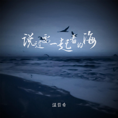 說過要一起看的海