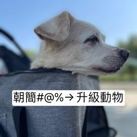 專輯封面