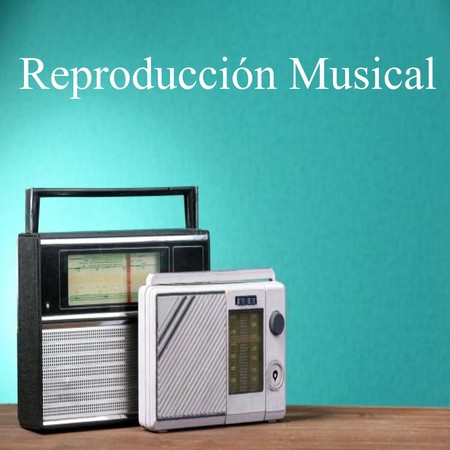 Reproducción Musical