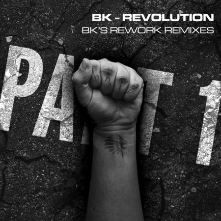 Revolution - Bk's Rework (Reinier Zonneveld Remix)