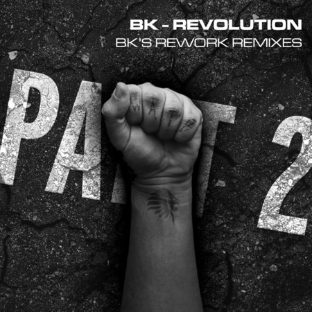 Revolution - Bk's Rework (Remixes Part 2)