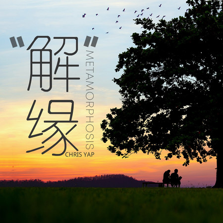 解緣