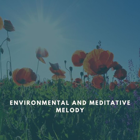 Environmental And Meditative Melody