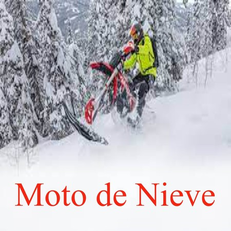 Moto de Nieve