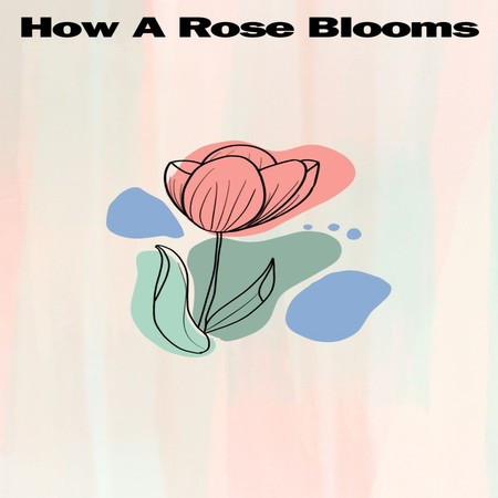 How A Rose Blooms