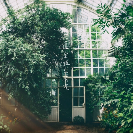 溫室裡沒有花