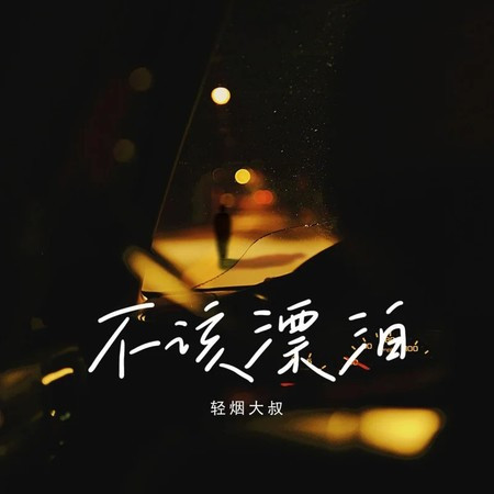 不该漂泊 (DJ名龙版)