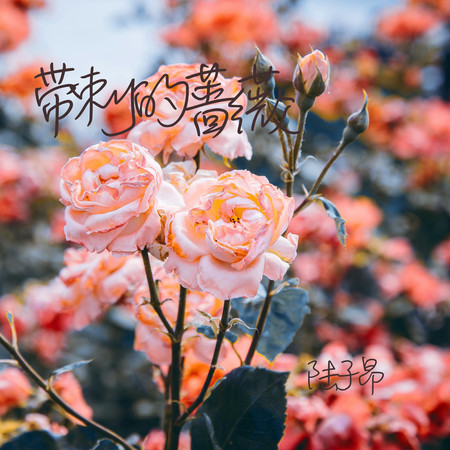 帶刺的薔薇