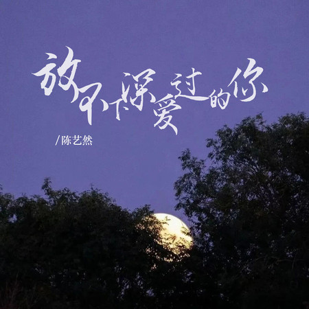 放不下深愛過的你