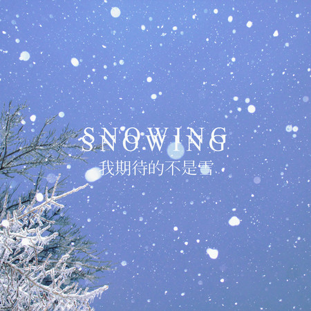 我期待的不是雪