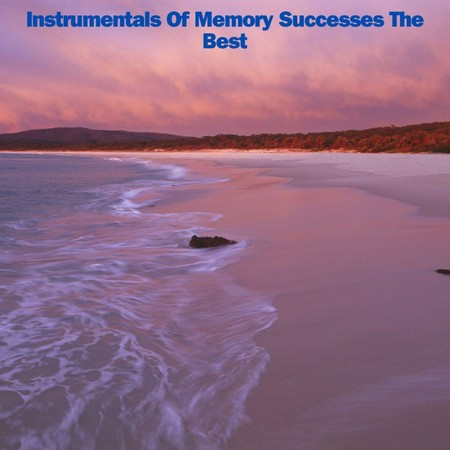 Instrumentals Of Memory Successes The Best