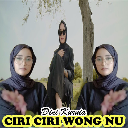 Ciri Ciri Wong Nu