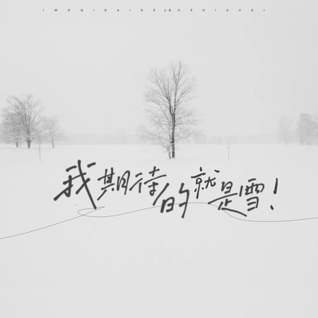 我期待的就是雪 (《我期待的不是雪》反骨版)