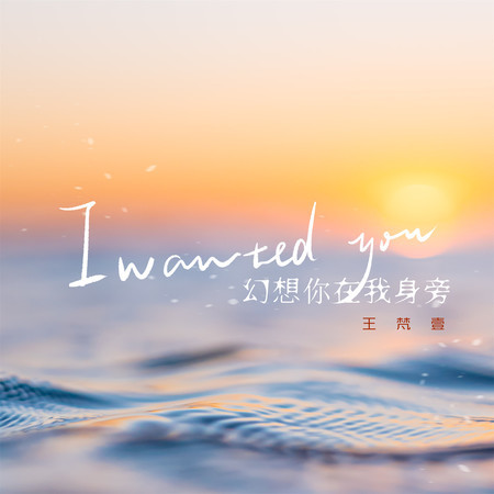 I wanted you (幻想你在我身旁)