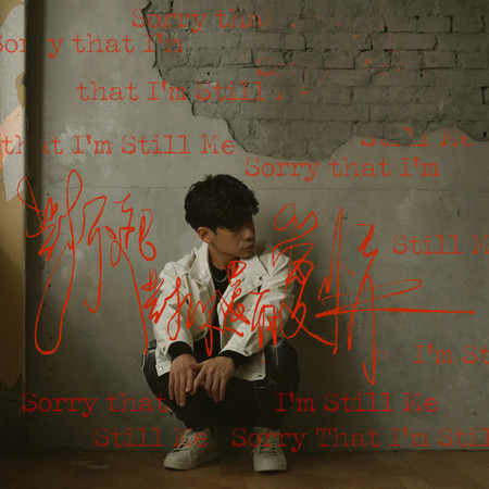 對不起對你還有愛情