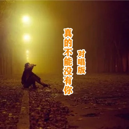 真的不能没有你 (对唱版)
