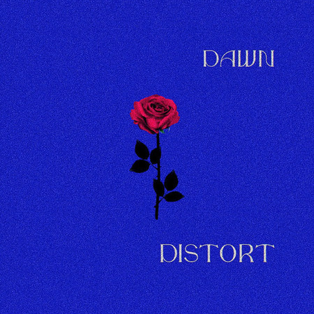Distort