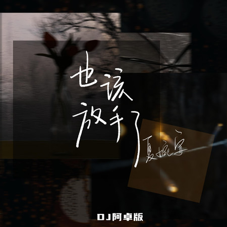 也該放手了(DJ阿卓版)專輯 - 夏婉安 undefined - LINE MUSIC
