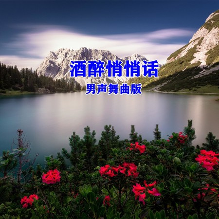 酒醉悄悄话 (男声舞曲版)