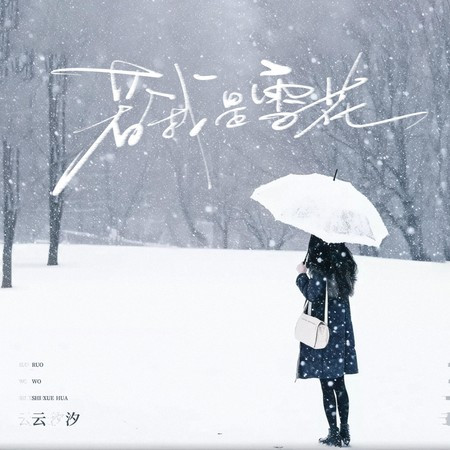 若我是雪花