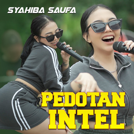 Pedotan Intel