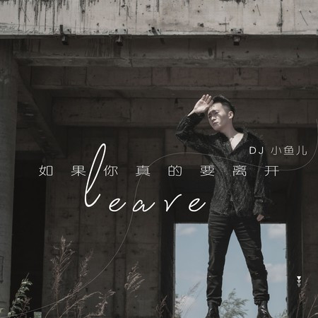 如果你真的要离开