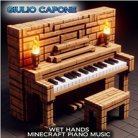 Wet hands (Minecraft Piano Music)
