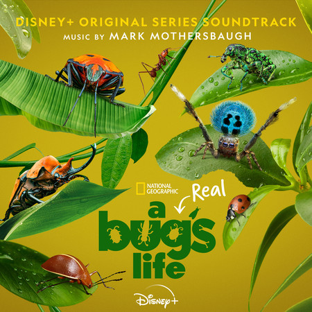 Heaven Scent (From "A Real Bug's Life"/Score)