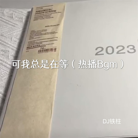 可我總是在等(熱播Bgm)