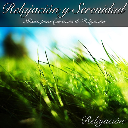 Relajación Y Serenidad Música Para Ejercicios de Relajación