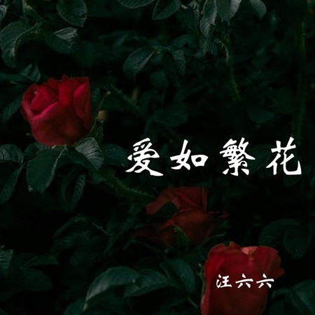 爱如繁花