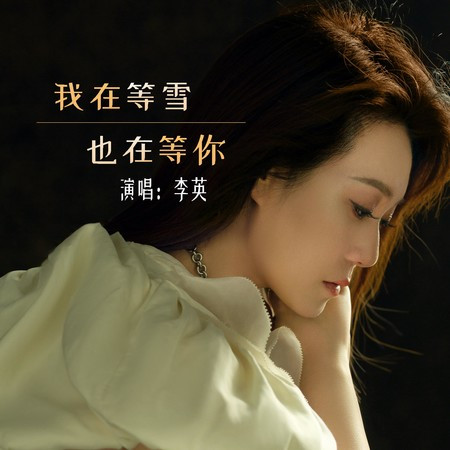 我在等雪也在等你