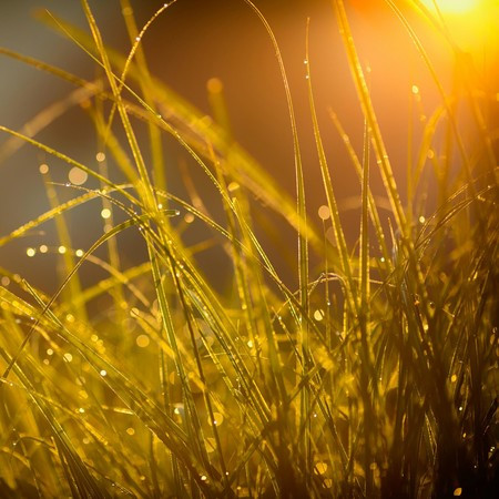 After The Sun