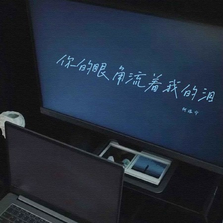 你的眼角流著我的淚