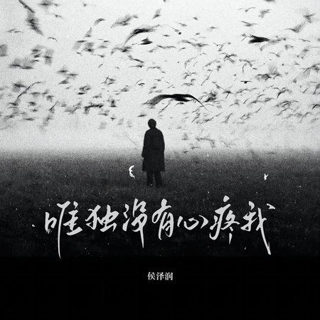 唯独没有心疼我