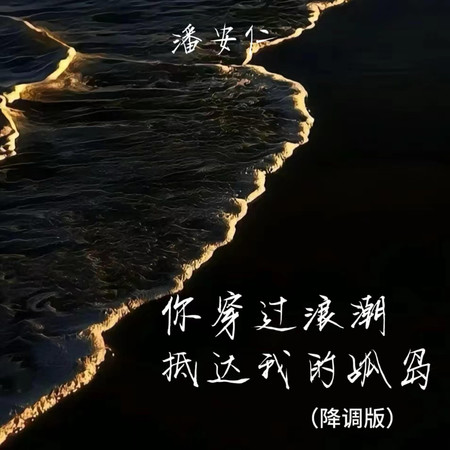 你穿過浪潮抵達我的孤島(降調版)