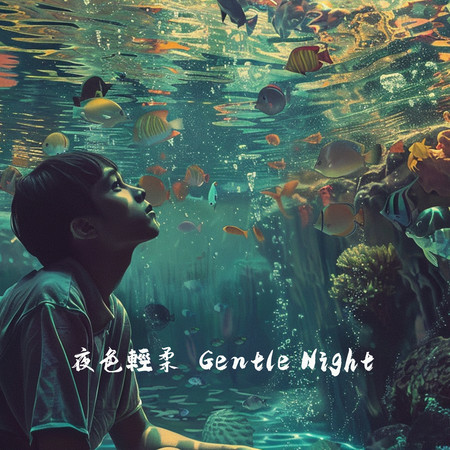 Gentle Night 夜色輕柔