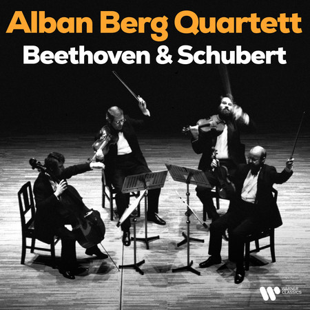 String Quartet No. 14 in D Minor, D. 810 "Death and the Maiden": II. Andante con moto