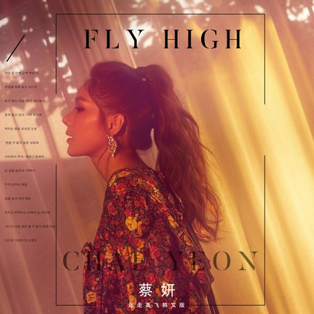 《遠走高飛》韓文版（Fly High）