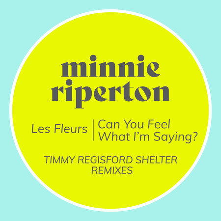 Can You Feel What I'm Saying? (Timmy Regisford Shelter Remix)