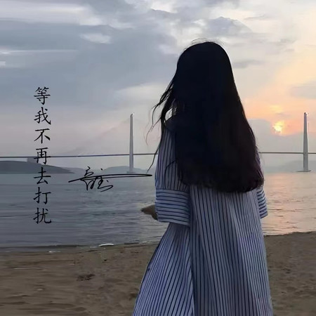 等我不再去打擾
