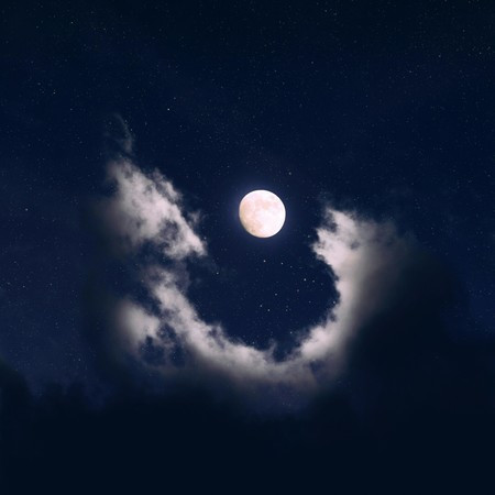 Lonely Night