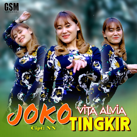 Joko Tingkir