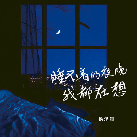 睡不着的夜晚我都在想