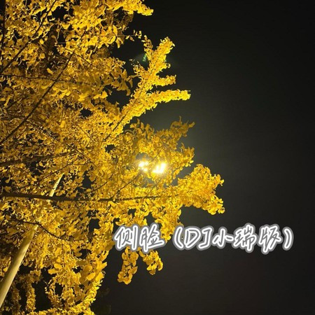 侧脸 (DJ小瑞版)
