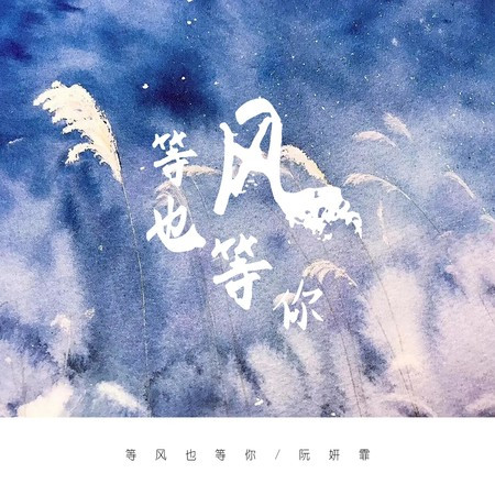 等风也等你