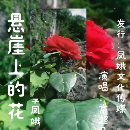 懸崖上的花