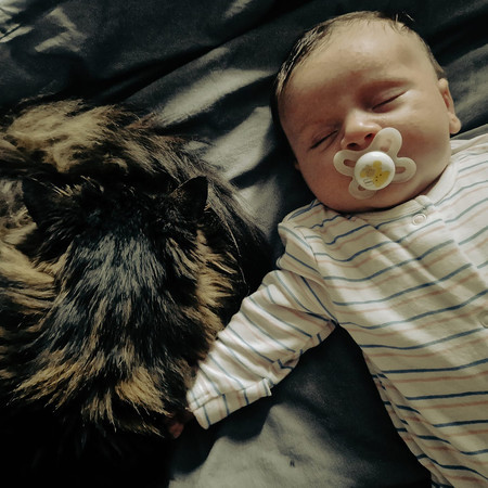 Cat Purrs and White Noise To Help My Baby Sleep